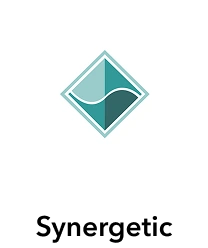 Synergetic logo