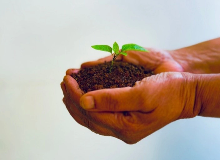 Sustainability Odyssey: Environmental Choices
