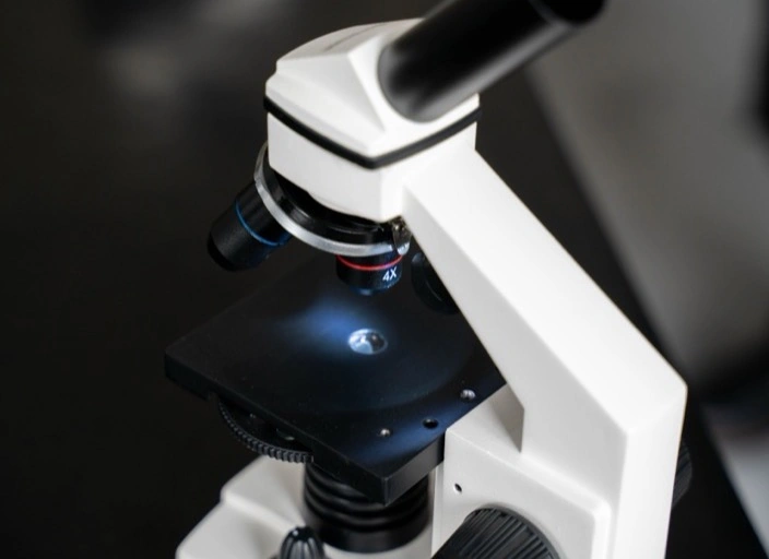 Robert Hooke: Unveiling the Cell