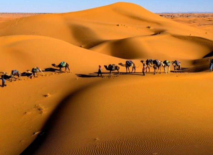 Journey with Zhang Qian: Silk Roads Explorer Journey with Zhang Qian: Silk Roads Explorer