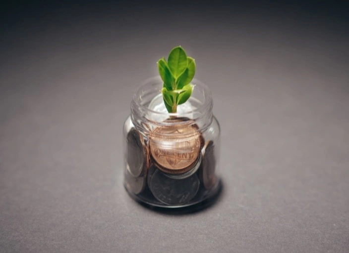 Net Environmental ROI Net Environmental ROI