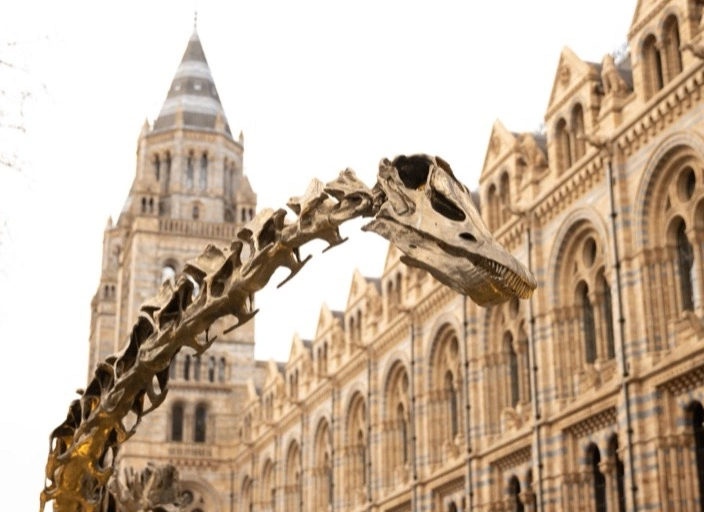 Chat With A Paleontologist