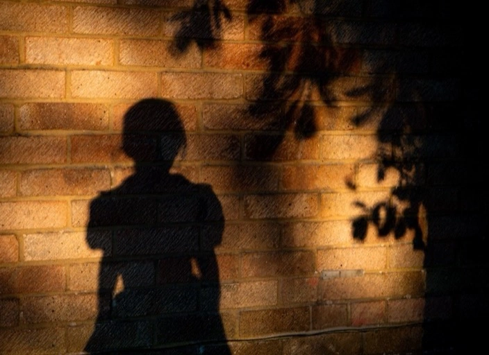 Shady Scene Solver