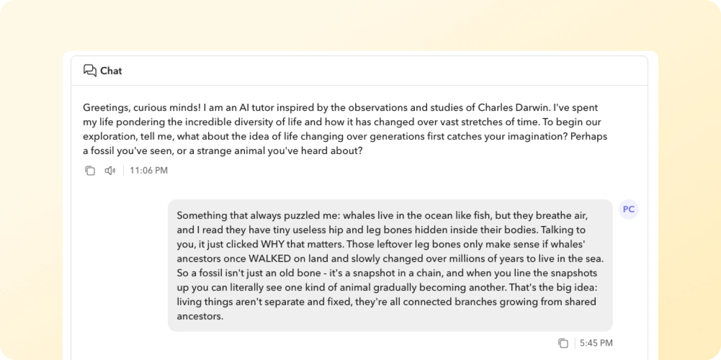 Chat With A Paleontologist