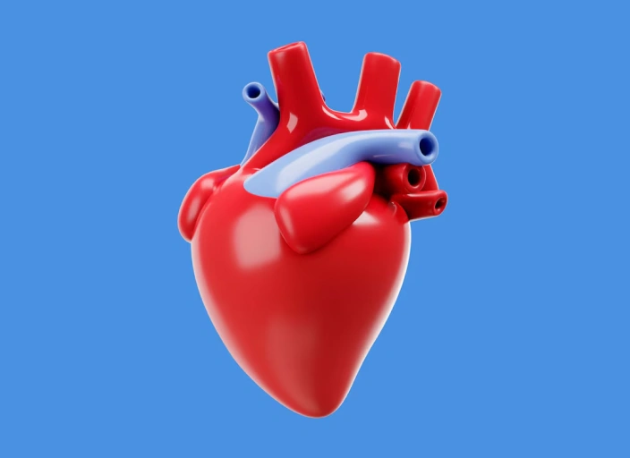 Heart Buddy: Teach Me About the Heart! Heart Buddy: Teach Me About the Heart!