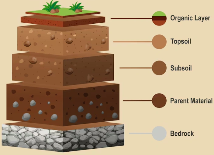 Science Soil Investigator Coach