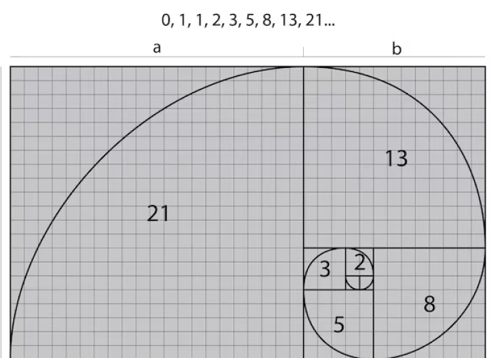 The Proportion Studio Mentor: The Secret Life of Proportion