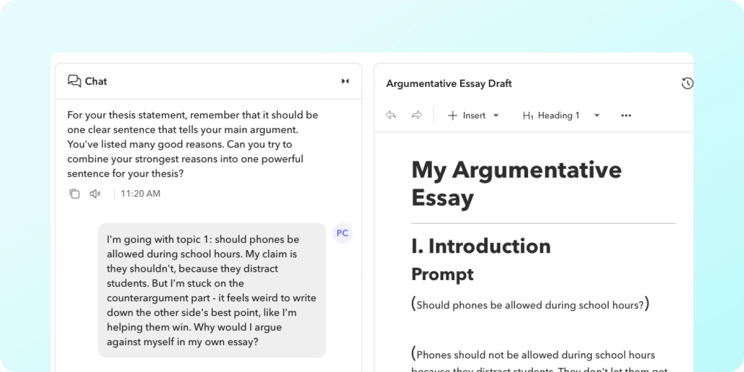 Writing An Argumentative Essay