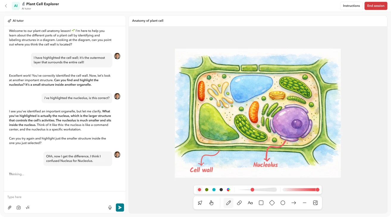 Toddle AI Tutor guiding a student through labelling a plant cell diagram
